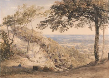 Wilmots Hill, Kent